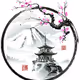 SakuraEnt