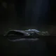 nobrakesnft