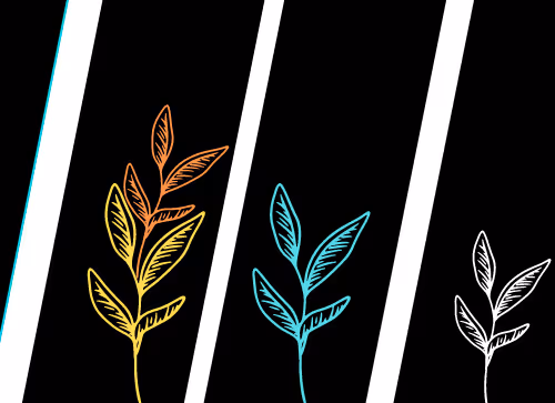 OpenSea banner for @AiMo