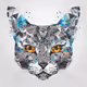 POLYGON_CATZ_DEV