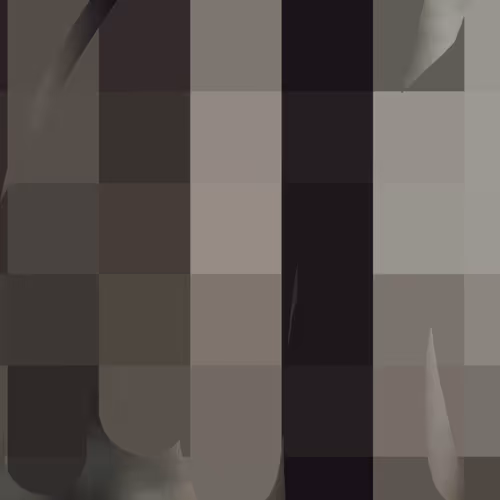 OpenSea profile picture for @INDICATIVE