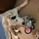 Cvictorphoenix24