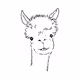 0x41146e7a6ad9ed48438b7bbc6e0d632c948342f0