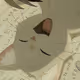 TiredSpookz