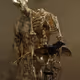 dark_ghoul