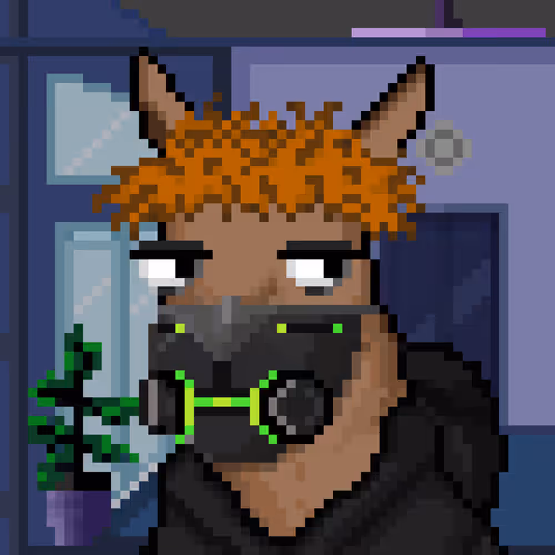 OpenSea profile picture for @BaNaL
