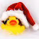 RubbleDuck
