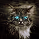 CatSerious