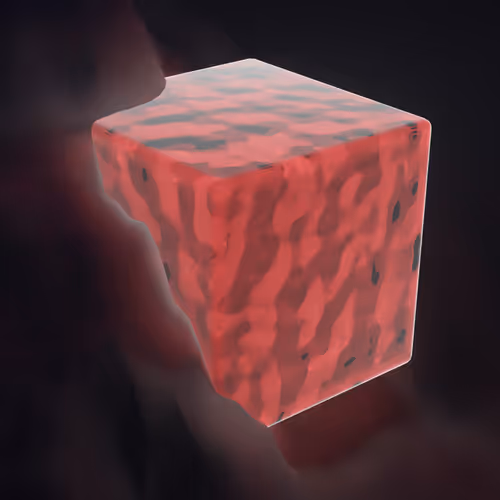 OpenSea profile picture for @Bumper
