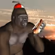 Supapui2