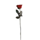 0x41eb86255df59a8446ce048a54d24a0873cf8b62