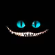 0x41fe203a402a1a0e49a7fdba16731f31daf2e07c