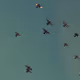 NASTYtrader00