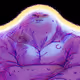 Plut-Oh