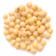 Soy-A