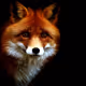 0x42382c6b548dd316a654223812dea99907c837f7