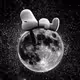 TXSnoopy