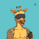 drdynasty