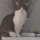nftstorehere