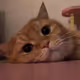 bbbbbtc
