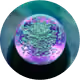 AWaifSoul