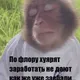 vROTdau