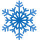 snowflake1010