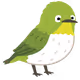 k4nnoji