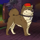 dogpapi