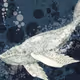 Bluewhaleee
