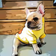 DINGLIDOGE