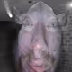 0x430c9e09f9693df21d3a132be106bd55835682c0