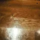 tobester