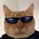 the_d0n