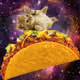 kittentacos