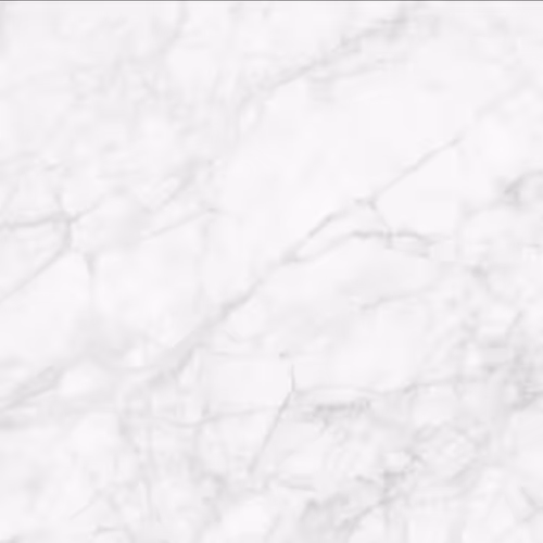 OpenSea banner for @Trays