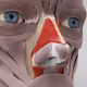 Ultragoy