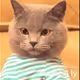 moodycat16