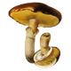 degenzART