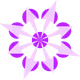 XaosPrincess