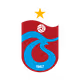 ts61