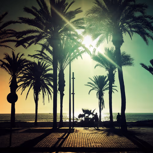 OpenSea profile picture for @TENERIFE