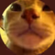 Chiper