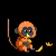 The-Monke