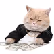 FatCatCap