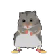 jeffs_shit