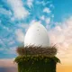 Hatchlingz_Inc
