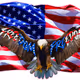 Freedoms
