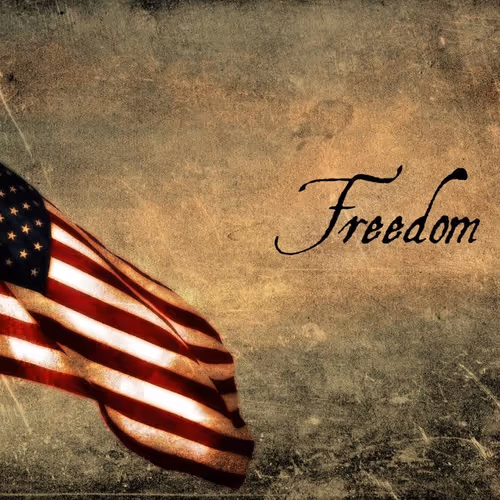 OpenSea banner for @Freedoms