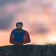 MetaPeregrin